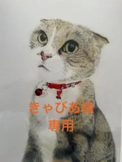 アメジスト 龍神天珠 ゴールドルチル 糸魚川アイス翡翠 スーパーセブン ブレス