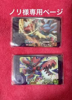 ポケモンフレンダ　ノリ様専用ページ