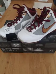 Item thumbnail for item 1fbcf93e-3001-4bd0-ae0a-2ac0e51b6d9c