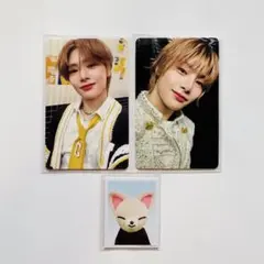 StrayKids TOYWORLD 封入 アイエン