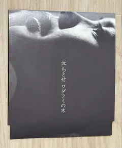 元ちとせ / ワダツミの木