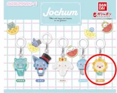 JOCHUM めじるしアクセサリー1 Bira