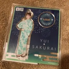 桜様 リクエスト 2点 まとめ商品