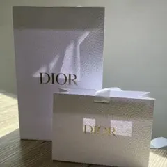 Dior 紙袋