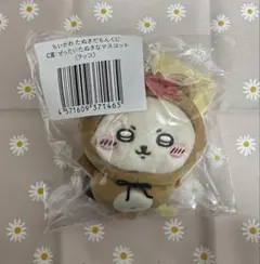 ク*ー様 ちいかわ　たぬきだもんくじ