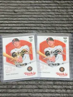 Item thumbnail for item 12a0c56b-aa4a-43f3-8adc-fe36de16688b