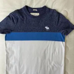 値下げ　美品　Abercrombie & Fitch 　アバクロ　Tシャツ　Lのサムネイル