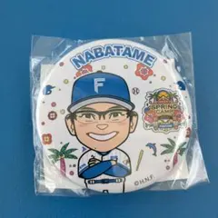 Item thumbnail for item 5fe0a51d-4bf3-4007-a458-fcee4824e991