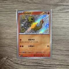 チビクロ☆注文時プロフ確認お願いします★様 リクエスト 2点 まとめ商品