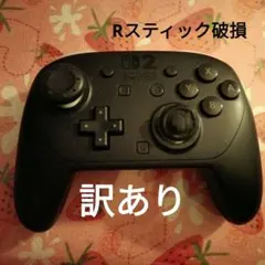 Nintendo Switch2 Pro 컨트롤러 본체
