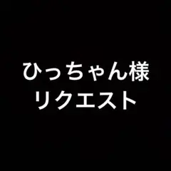 ひっちゃん様 リクエスト 2点 まとめ商品