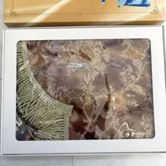 Item thumbnail for item 8e6b3fbe-19b7-47c2-8c9d-7b9474f70249