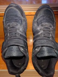 Item thumbnail for item efd374bb-26bb-449d-9e82-c7f2fccdef35