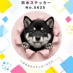 【送料無料❣️】黒柴防水ステッカー 壁紙破り