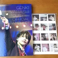 岩橋玄樹パンフレット