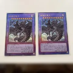 始祖の竜王　レリーフ　2枚セット