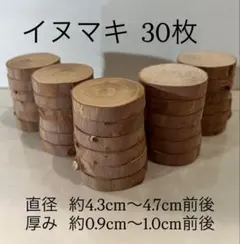 Item thumbnail for item 246c1c27-3d7e-4472-bd6c-977960f4a8b3