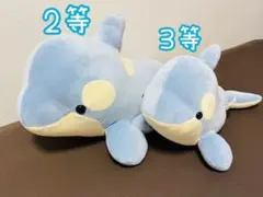 神戸須磨シーワールド オルカくじ 2周年限定カラー アイスブルー 2等