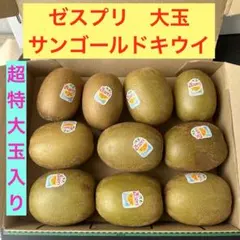 【ラスト1点】正規品　ゼスプリ　サンゴールドキウイ　大玉　1.6kg 10個入りのサムネイル