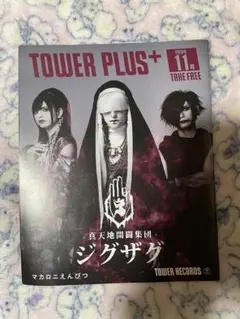 WANDS 会報 VOL.1~11 全11冊 抜けなし 真天地開闢集団ジグザグ - メルカリ
