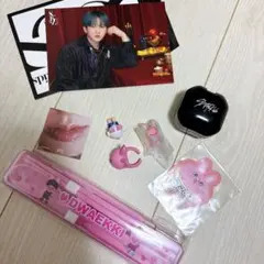 stray kids スキズ びっくらたまご SKZOO チャンビン