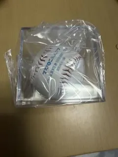 Item thumbnail for item 901772fe-003c-448e-a284-76ab1906c9df