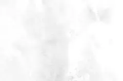 ぽちゃこ様専用