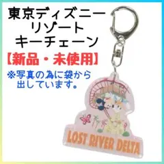 東京ディズニーリゾート キーチェーン