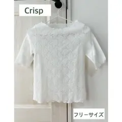 【未着用】Crisp 半袖 トップス レース シアー ホワイト 白 春夏秋