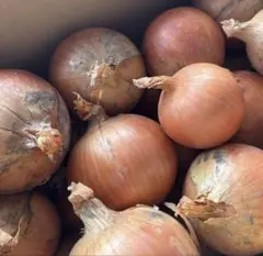 淡路島産‼️おいしい‼️玉ねぎ10キロ詰め合わせ⭐️農家直送のサムネイル