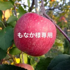 もなか様専用　長野県産 サンふじ 家庭用 約５kg