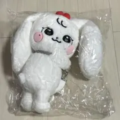 IVE レイ minive 2025 韓国ポップアップ限定 斜め掛け バッグ IVE ウォニョン minive 2025 韓国ポップアップ限定 キーホルダー