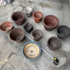 植木鉢等　複数種類　バラ売り可