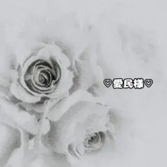 ♡愛民様専用♡