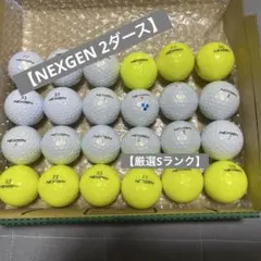 NEXGEN ロストボール2ダース