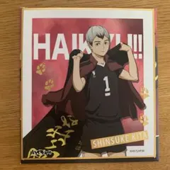 ハイキュー‼︎ 箔押しミニ色紙コレクション　北信介