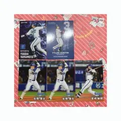 プロ野球チップス 横浜DeNAベイスターズカード