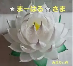 ⭐️まーはる⭐️さま専用