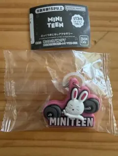 MINITEEN 　めじるしアクセサリー　エスクプス