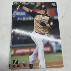 プロ野球チップス スポーツ選手