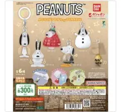 スヌーピー　めじるしアクセサリー　コンプリートセット　全6種　チャーリーブラウン