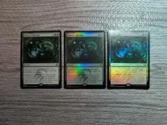 Mtg　自然の律動　英英日　３枚セット（１枚通常・２枚FOIL）