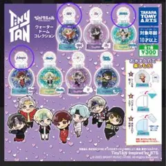 ◼︎新品◼︎Tinytan◼︎ウォータードームコレクション◼︎ラップライン◼︎3個セット◼︎