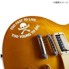 70's パンクロックなステッカーTOO FAST TO LIVE（WH）外ＯＫ