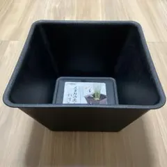 SUDO樹脂製 金魚鉢　睡蓮鉢 メダカ鉢 ブラック角鉢のサムネイル