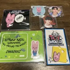 Stray Kids グッズまとめ売り トゥエッキ チャンビン SKZOO