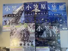 折り紙の本 【希少】神谷哲史作品集 山口真作品集 まとめ売り 6点