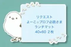 【専用ページ】　よーこ⭐︎プロフ必読さま　ランチョンマット　40×60 ２枚