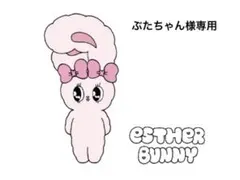 ぶたちゃん様専用