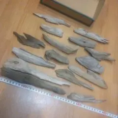 Item thumbnail for item c3bbd779-088a-487c-862e-f8cb0292d255